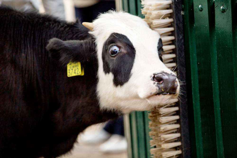 Foto zum Film «Carte blanche: Wunschfilm»