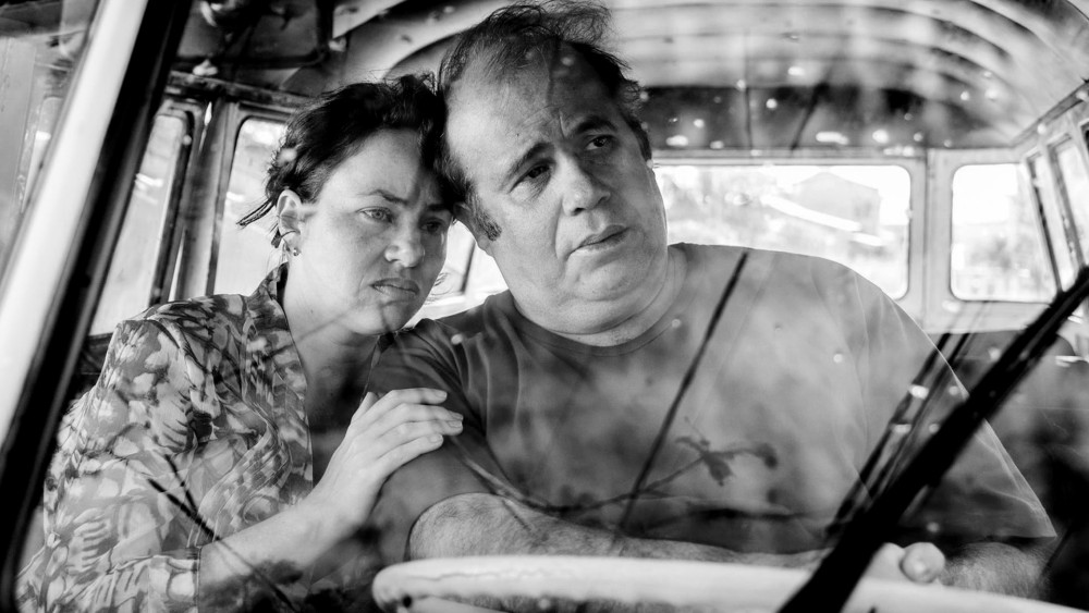 Foto zum Film «Love&shy;ling»