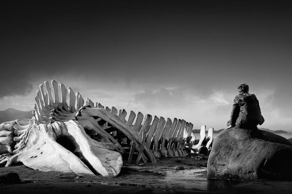 Foto zum Film «Levia­than»