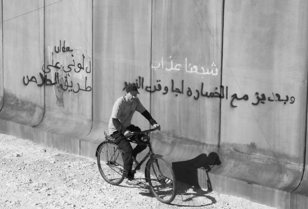 Foto zum Film «When pigs have wings»